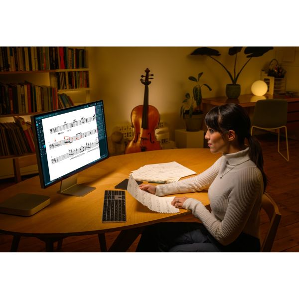 Steinberg Dorico Pro 6 Full Version - professionelle Notensatz- und Kompositionssoftware - Download