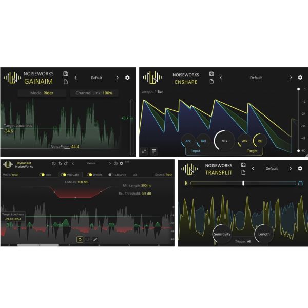 NoiseWorks Dynamic Bundle - Bundle mit vier Dynamik-Plug-ins für Gesang - Download
