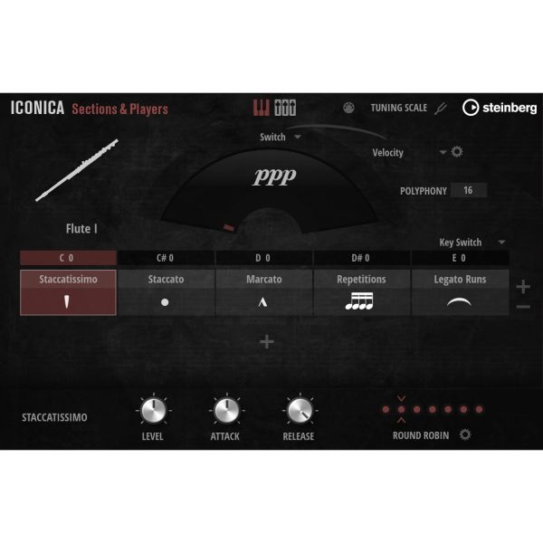 Steinberg Iconica Sections & Players - Orchester-Bibliothek aus dem Funkhaus Berlin - Download