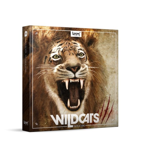 Boom Wildcats - Großkatzen-Aufnahmen von Löwen und Tigern - Download