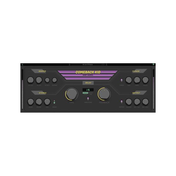Baby Audio Comeback Kid - Delay-Plug-in mit analogem Charakter - Download